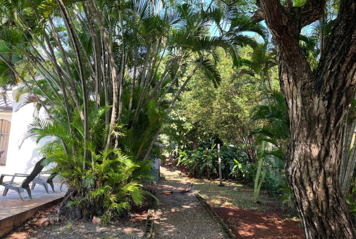 Twelfth image of Leas Flats in Kingston 19, St. Andrew, Jamaica - property is For Rent