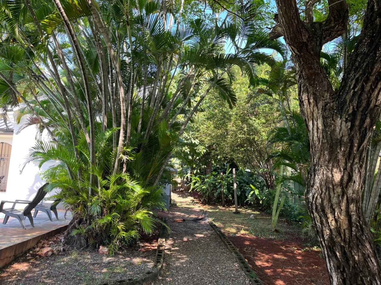 Twelfth image of Leas Flats in Kingston 19, St. Andrew, Jamaica - property is For Rent