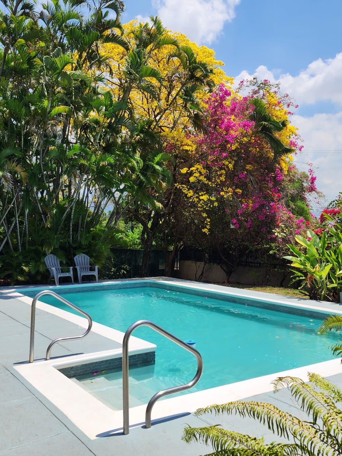 Fourth image of Leas Flats in Kingston 19, St. Andrew, Jamaica - property is For Rent