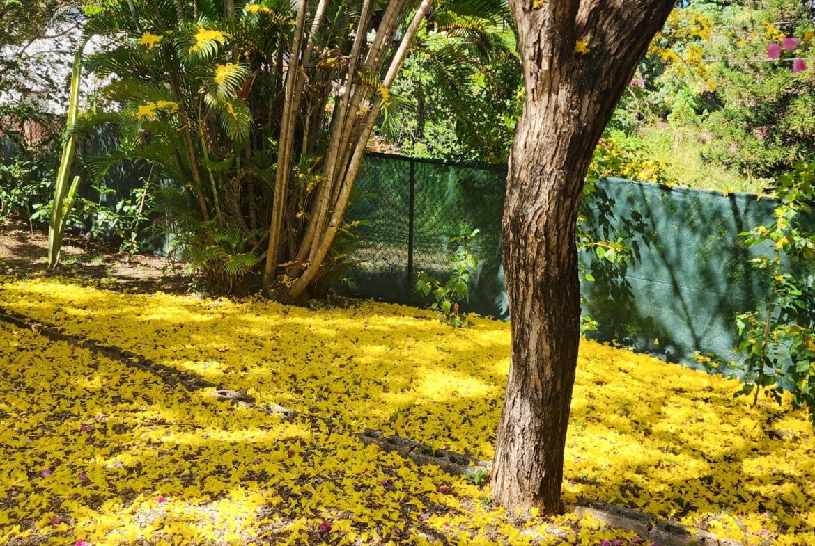 Fifth image of Leas Flats in Kingston 19, St. Andrew, Jamaica - property is For Rent