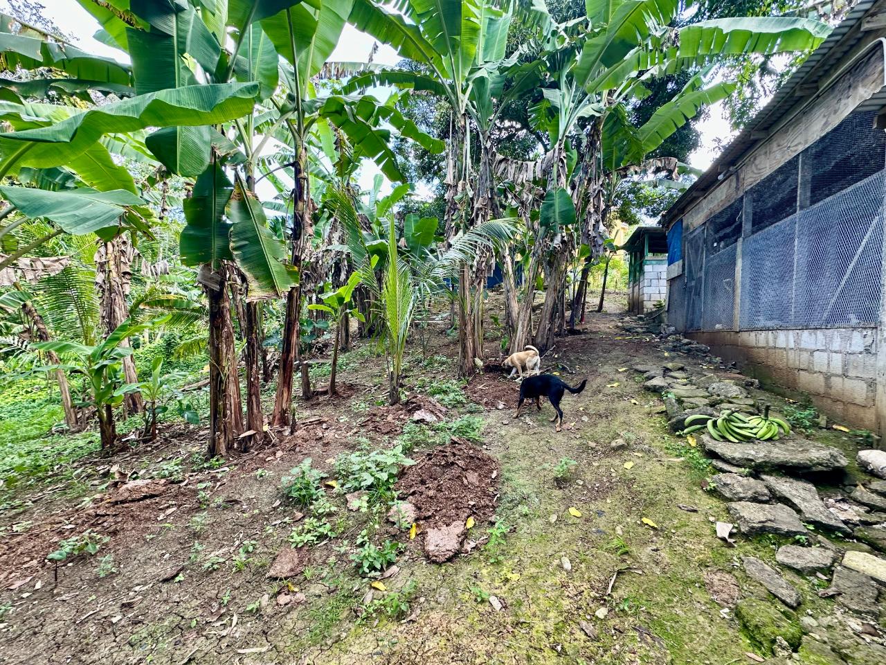 Beautiful-4-Bedroom-Home-for-Sale-in-Islington-Jamaica Thirtieth image of 29 Block a Nutfield, Islington po in Islington, St. Mary, Jamaica - property is For Sale