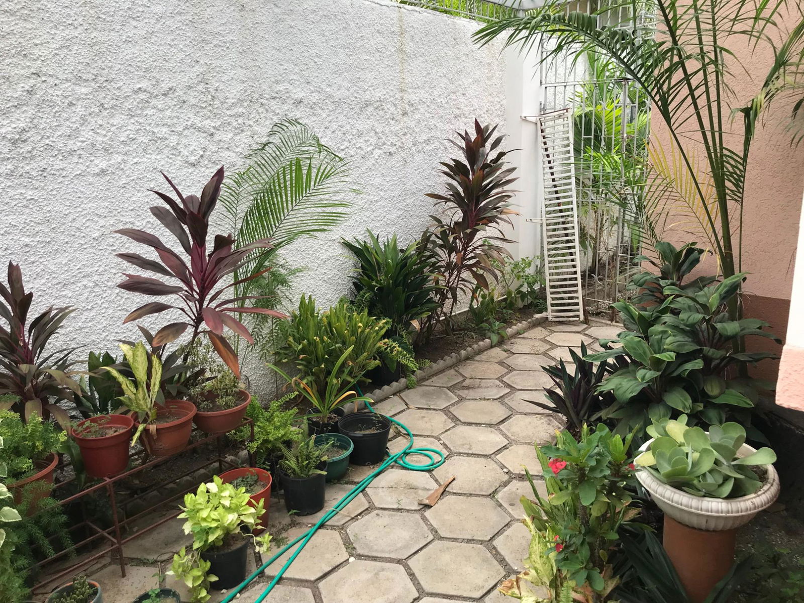 Fifteenth image of 13a/13b Kingsway in Kingston 10, St. Andrew, Jamaica - property is For Sale