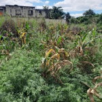 First image of Lot 282 Pondside Close in Davis Town, St. Ann, Jamaica - property is For Sale