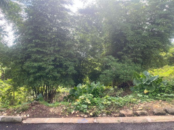 First image of 3-shenton Linstead in Linstead, St. Catherine, Jamaica - property is For Sale