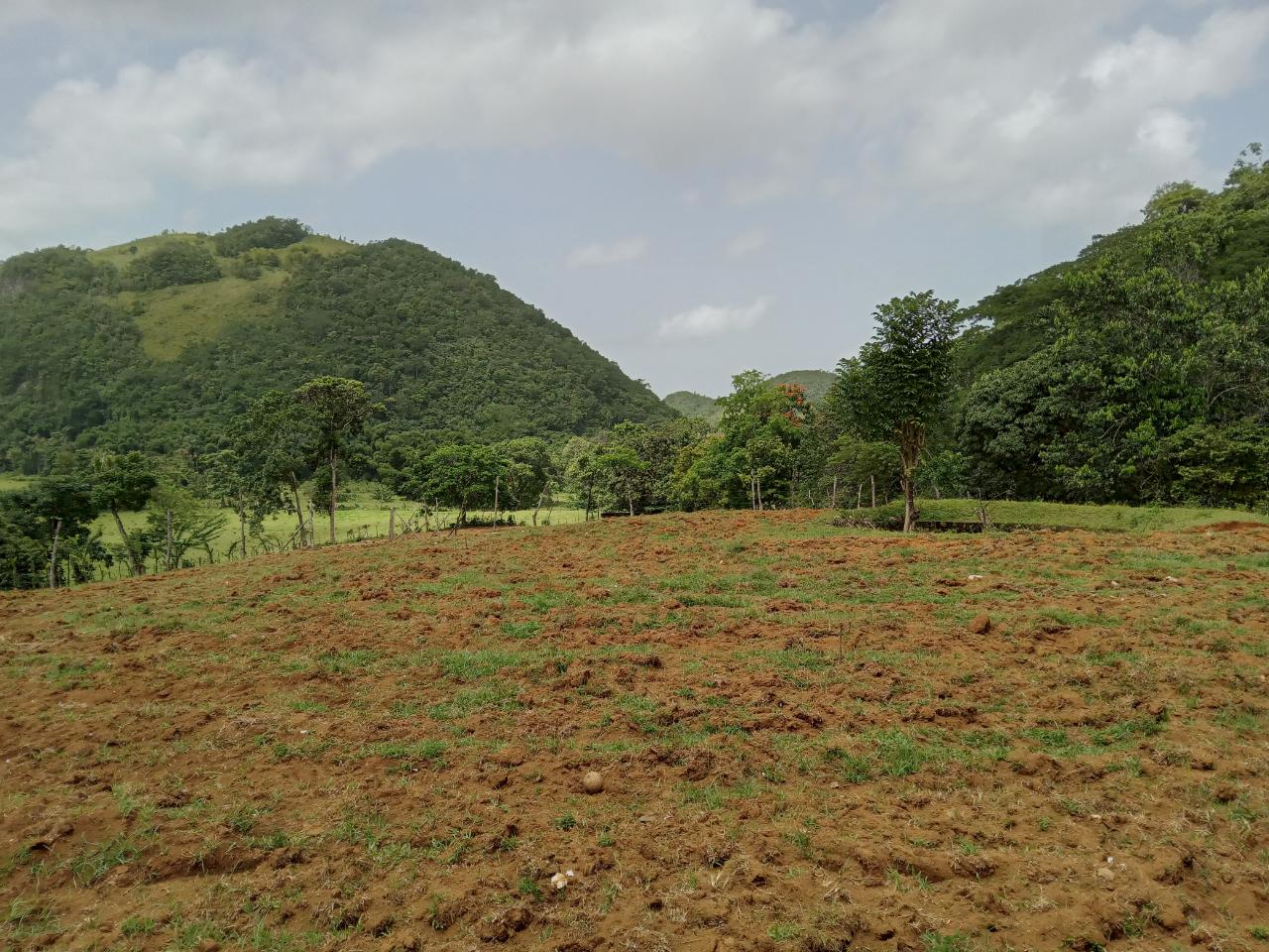 Third image of Big Bottom Farm in Cambridge, St. James, Jamaica - property is For Sale