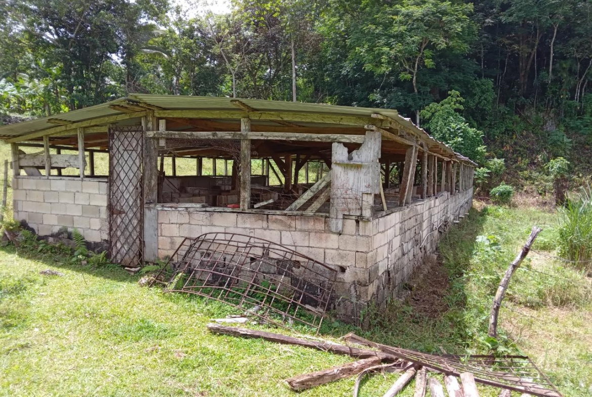 Fourth image of Big Bottom Farm in Cambridge, St. James, Jamaica - property is For Sale
