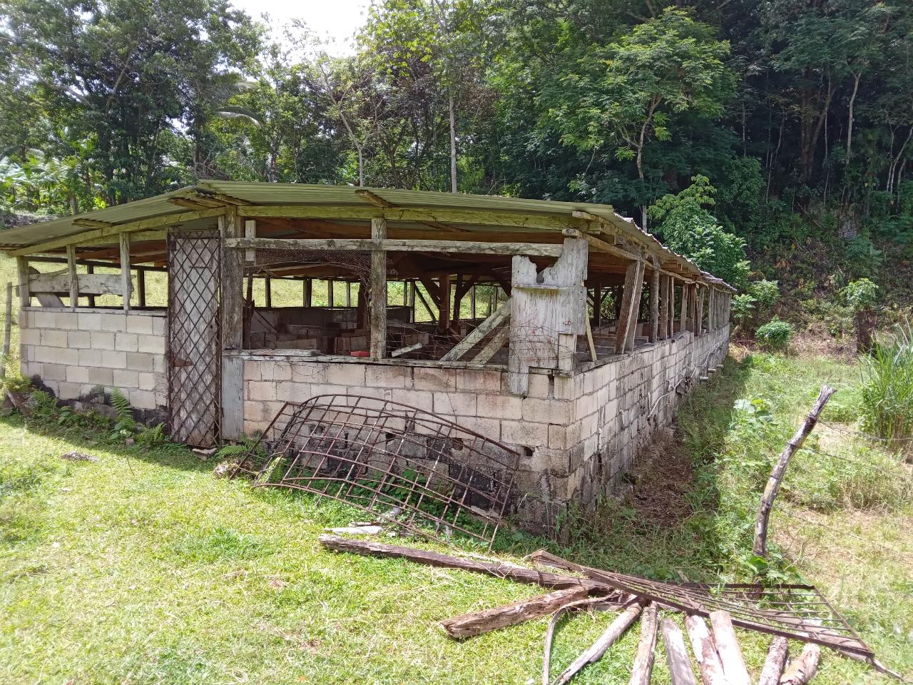 Fourth image of Big Bottom Farm in Cambridge, St. James, Jamaica - property is For Sale