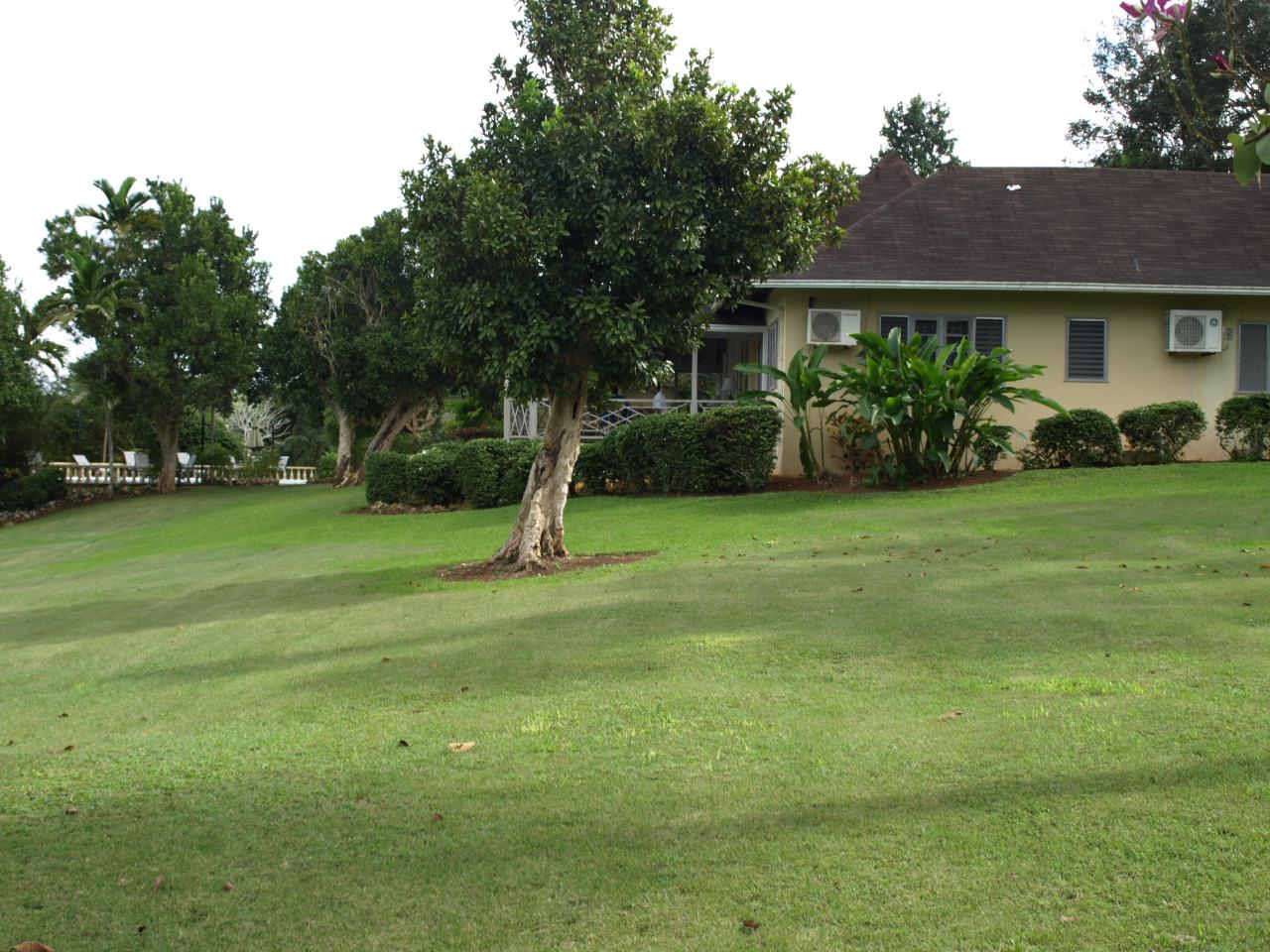 Second image of Lot 15a-upton (blissful Folly) in Upton, St. Ann, Jamaica - property is For Sale
