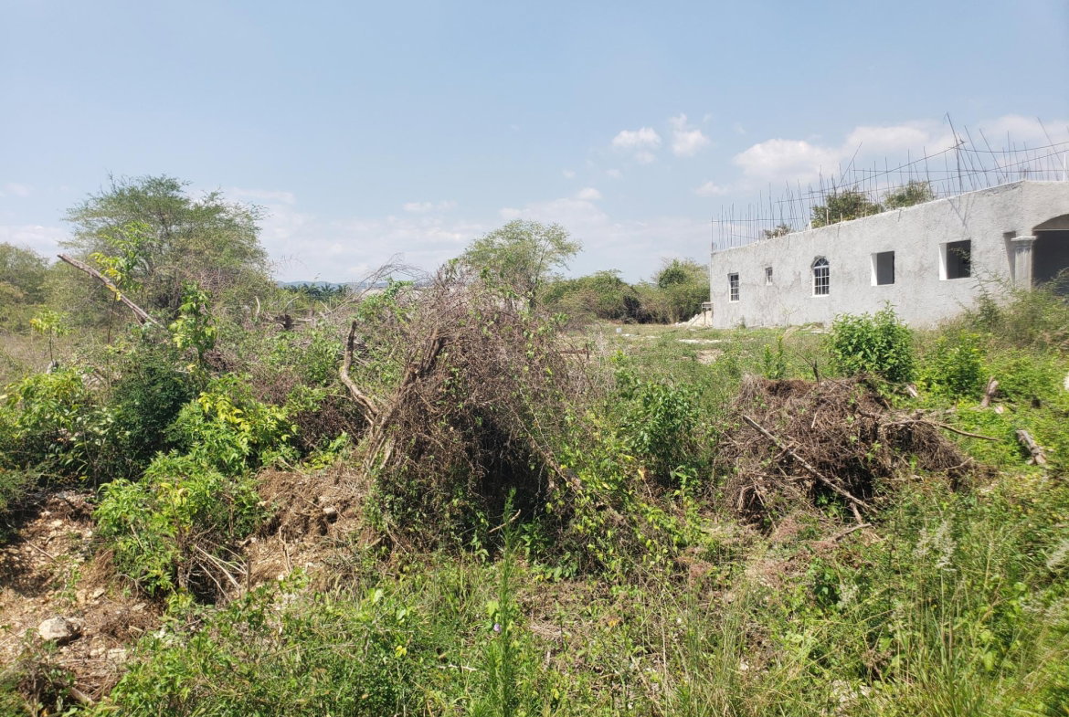 Second image of 372 Cashoo, Palmbrook Estate in Lacovia, St. Elizabeth, Jamaica - property is For Sale