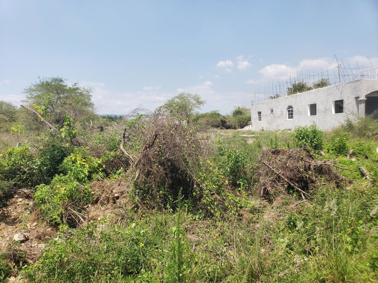 Build-Your-Dream-Home-at-Palm-Brook-Estate-St.-Elizabeth-Jamaica Second image of 372 Cashoo, Palmbrook Estate in Lacovia, St. Elizabeth, Jamaica - property is For Sale
