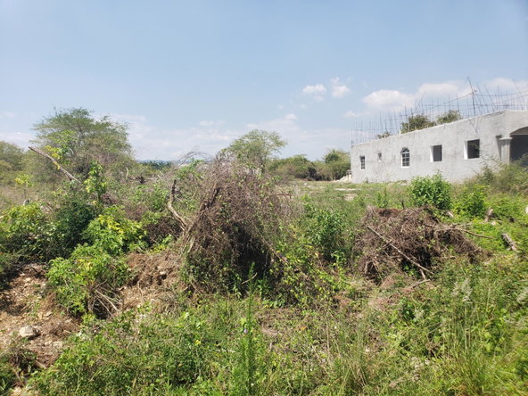 Second image of 372 Cashoo, Palmbrook Estate in Lacovia, St. Elizabeth, Jamaica - property is For Sale