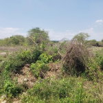 First image of 372 Cashoo, Palmbrook Estate in Lacovia, St. Elizabeth, Jamaica - property is For Sale