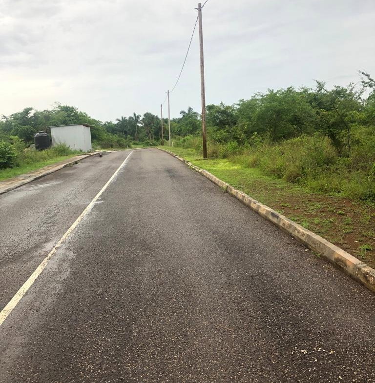 Fourth image of 372 Cashoo, Palmbrook Estate in Lacovia, St. Elizabeth, Jamaica - property is For Sale