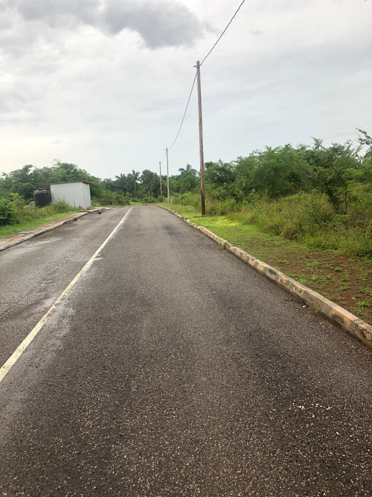 Build-Your-Dream-Home-at-Palm-Brook-Estate-St.-Elizabeth-Jamaica Fourth image of 372 Cashoo, Palmbrook Estate in Lacovia, St. Elizabeth, Jamaica - property is For Sale
