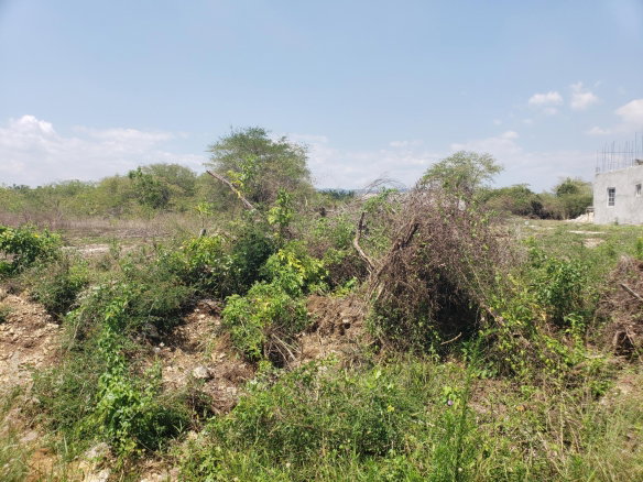 First image of 372 Cashoo, Palmbrook Estate in Lacovia, St. Elizabeth, Jamaica - property is For Sale