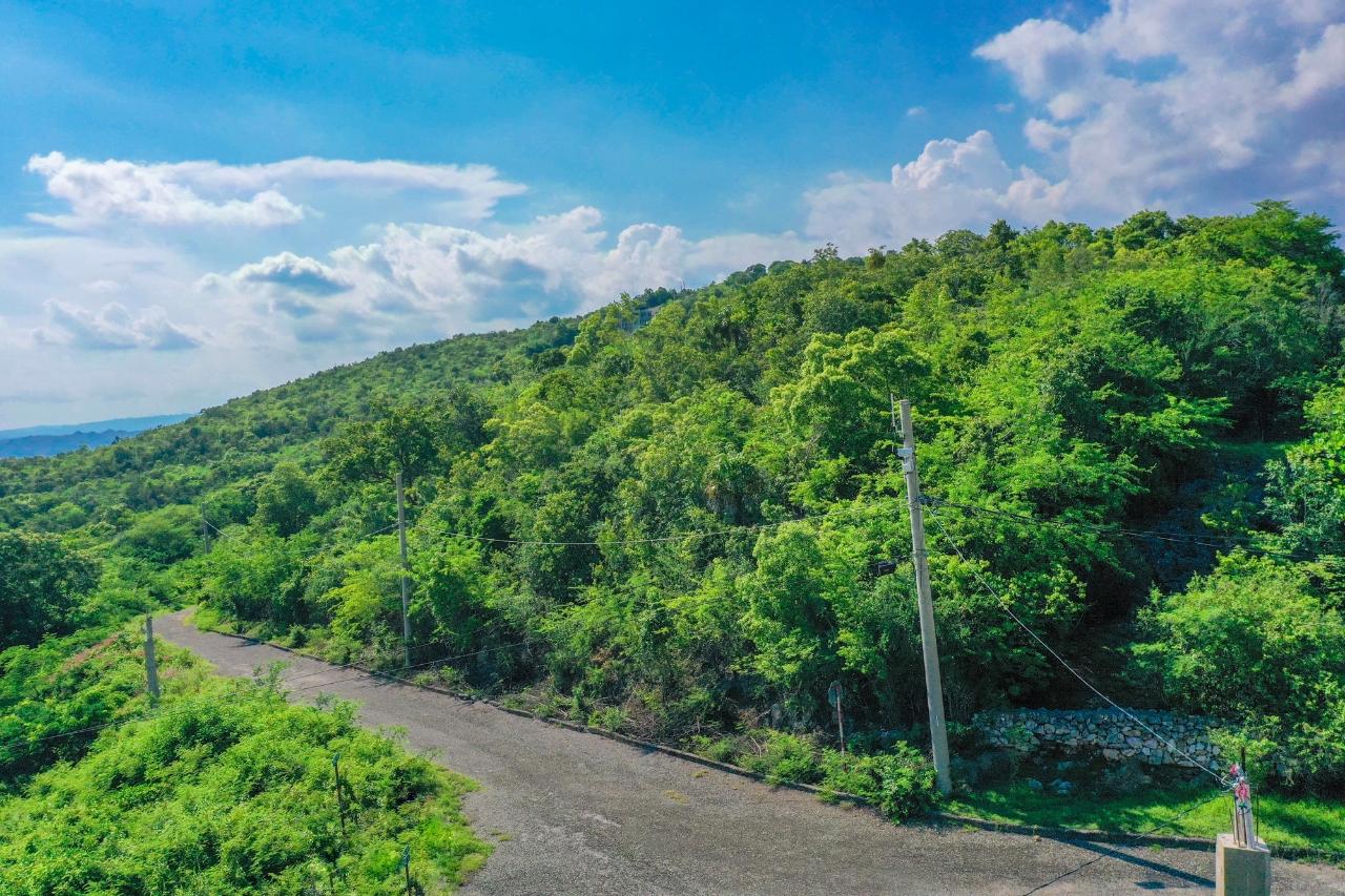 Seventh image of Lot 348 Pinnacle Close, st Jago h in Spanish Town, St. Catherine, Jamaica - property is For Sale