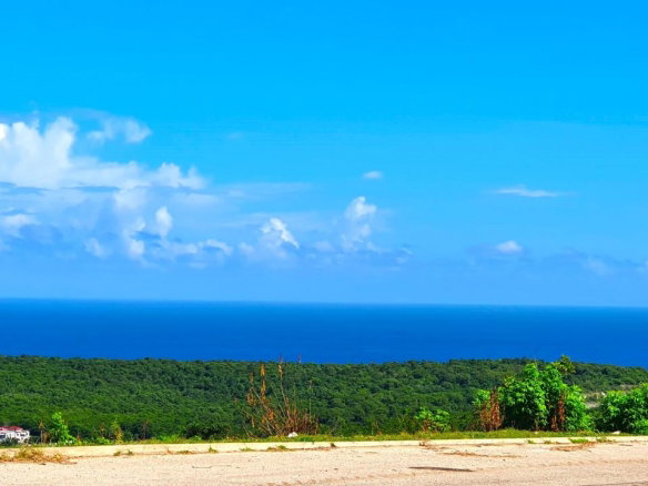 First image of 339- Tamarind Ridge in Duncans, Trelawny, Jamaica - property is For Sale