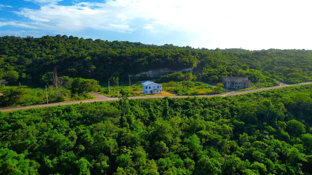 Fourteenth image of 365- Tamarind Ridge in Duncans, Trelawny, Jamaica - property is For Sale
