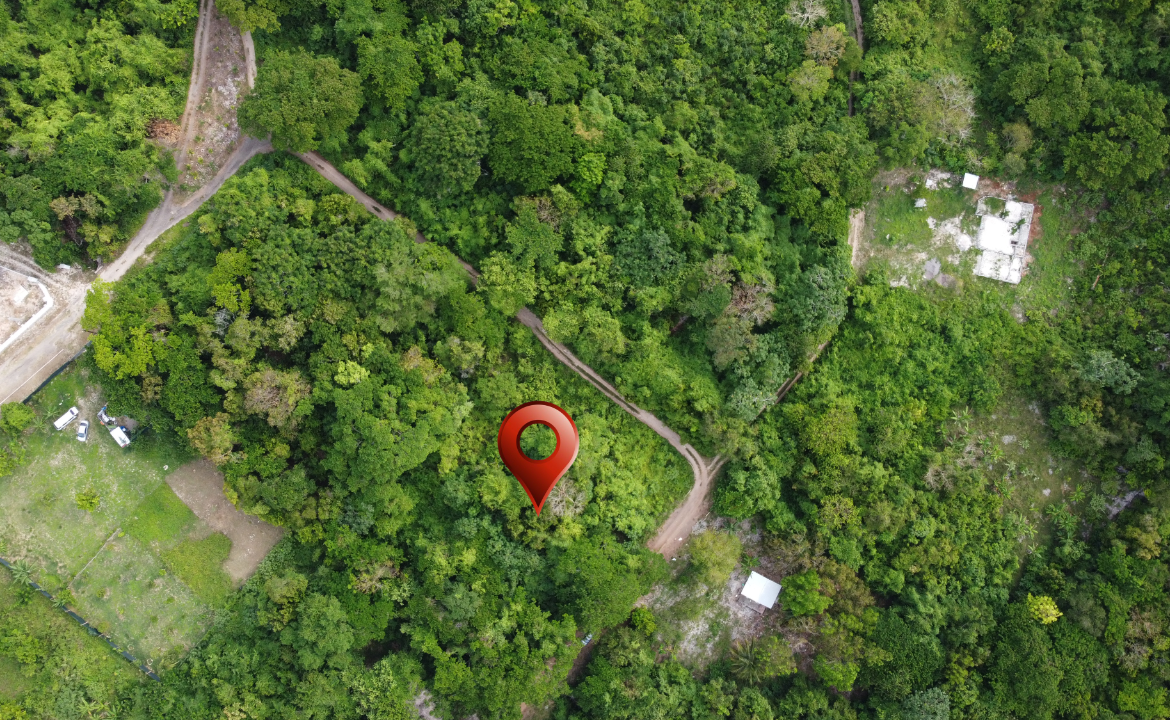 Second image of Cardiff Hall in Runaway Bay, St. Ann, Jamaica - property is For Sale