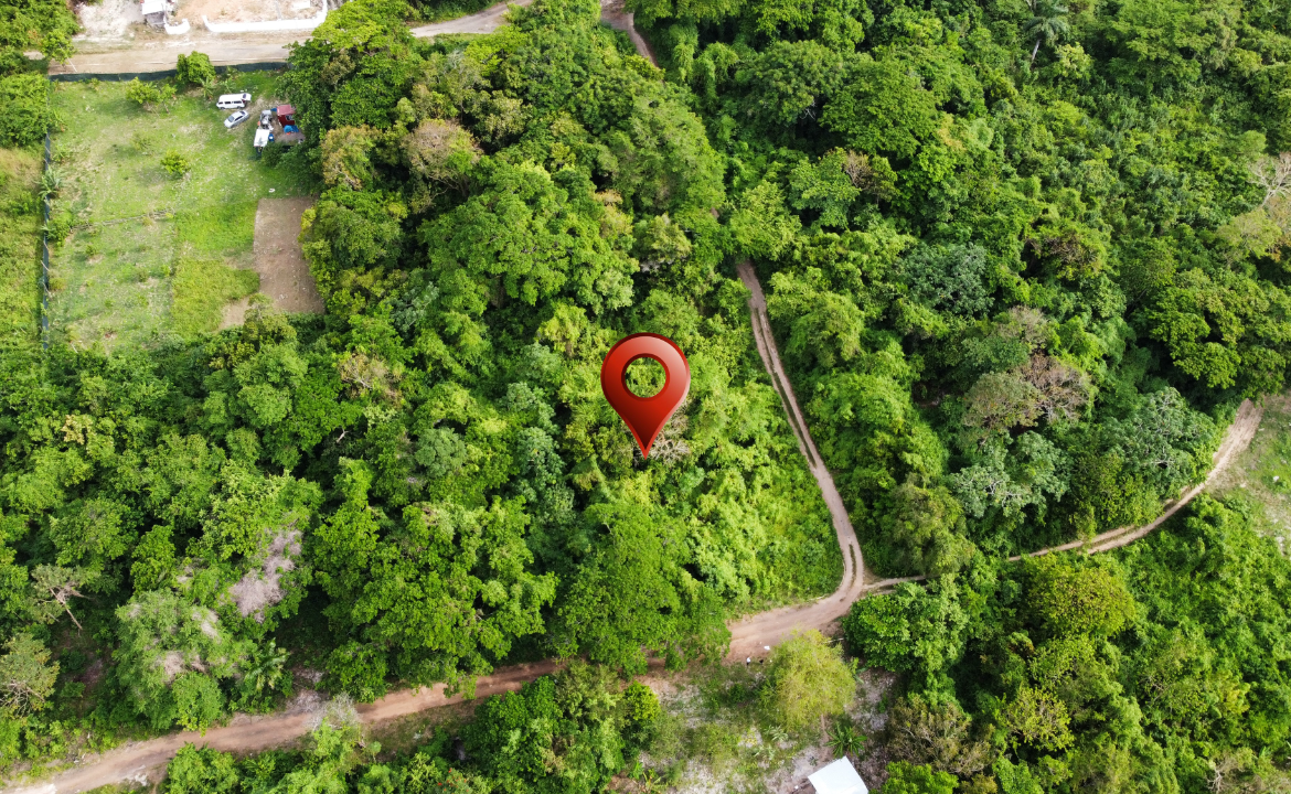 Fourth image of Cardiff Hall in Runaway Bay, St. Ann, Jamaica - property is For Sale