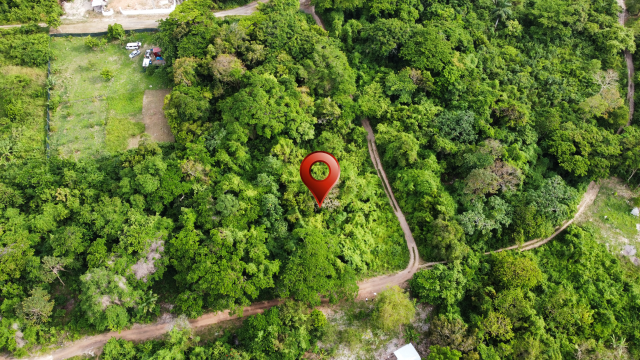 Fourth image of Cardiff Hall in Runaway Bay, St. Ann, Jamaica - property is For Sale