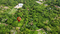 First image of Cardiff Hall in Runaway Bay, St. Ann, Jamaica - property is For Sale