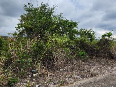 Fourth image of Albatross Crescent in Duncans, Trelawny, Jamaica - property is For Sale