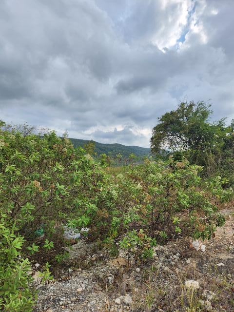 Fifth image of Albatross Crescent in Duncans, Trelawny, Jamaica - property is For Sale