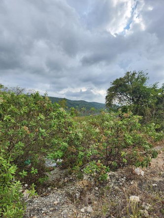Fifth image of Albatross Crescent in Duncans, Trelawny, Jamaica - property is For Sale