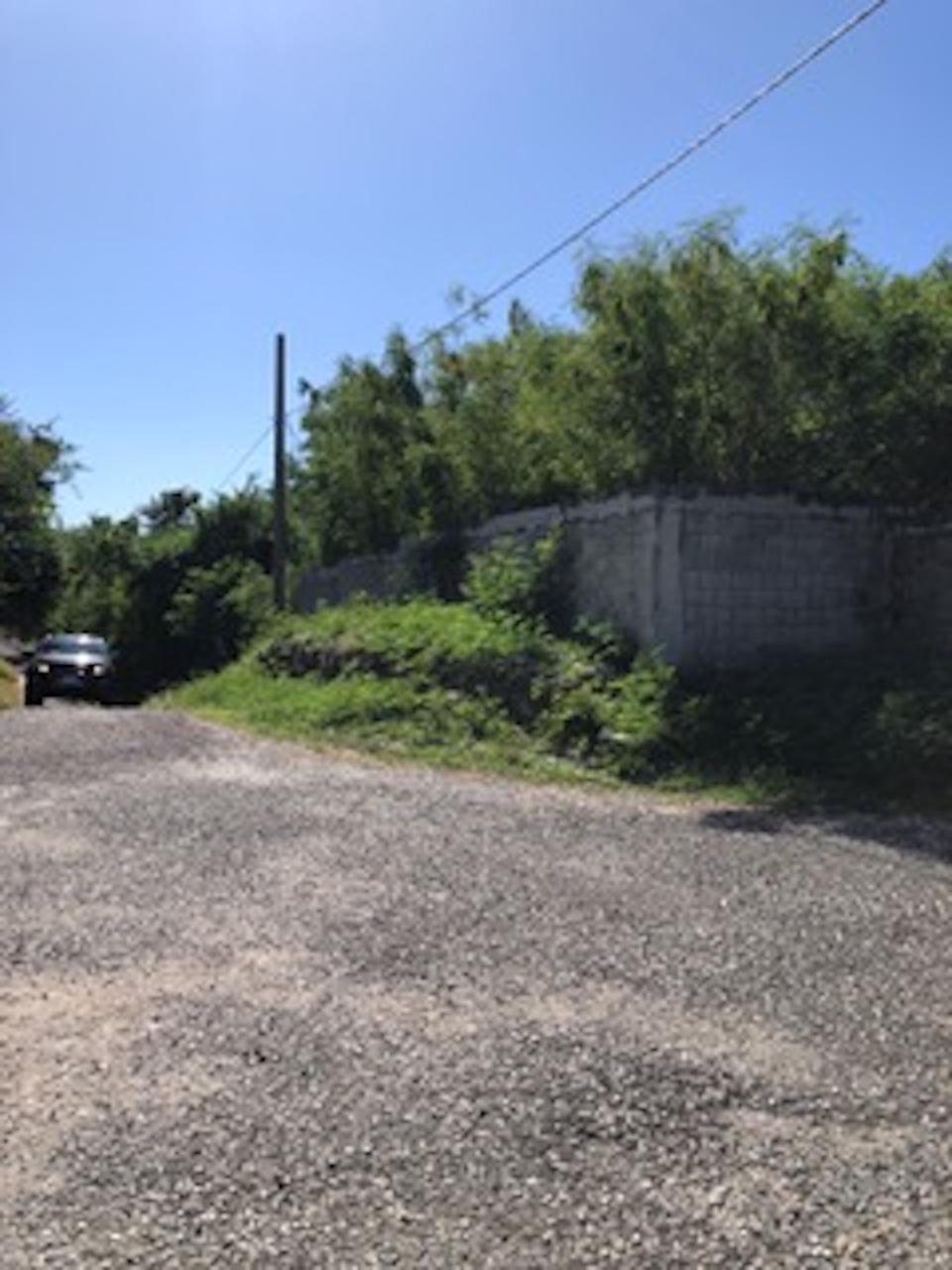 Fifth image of 42 Culloden, Whitehouse, Wes in White House WD, Westmoreland, Jamaica - property is For Sale