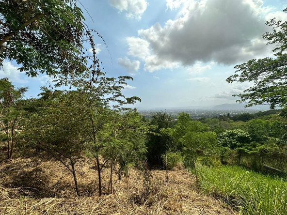 Second image of 23 Widcombe Estate in Kingston 6, St. Andrew, Jamaica - property is For Sale