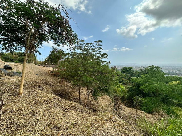 Third image of 23 Widcombe Estate in Kingston 6, St. Andrew, Jamaica - property is For Sale