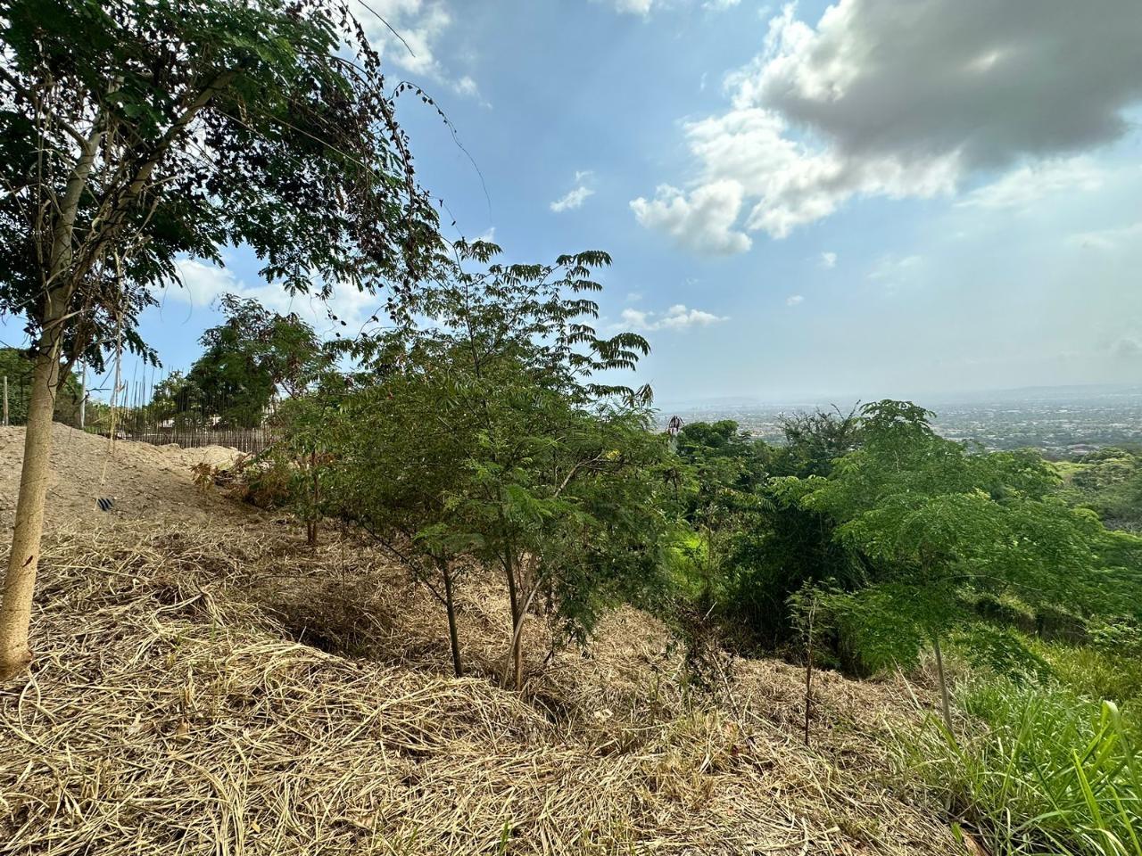 Fourth image of 23 Widcombe Estate in Kingston 6, St. Andrew, Jamaica - property is For Sale