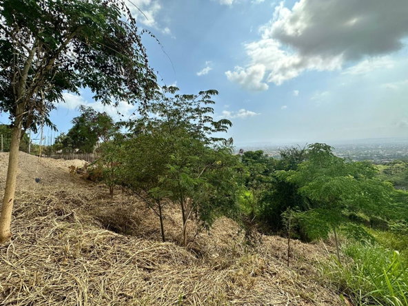Fourth image of 23 Widcombe Estate in Kingston 6, St. Andrew, Jamaica - property is For Sale