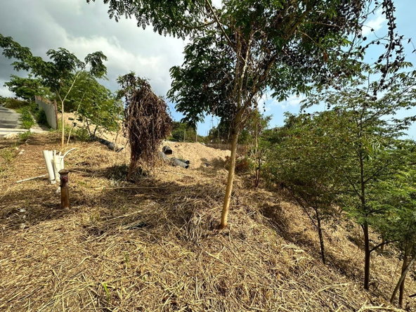 First image of 23 Widcombe Estate in Kingston 6, St. Andrew, Jamaica - property is For Sale