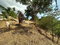 First image of 23 Widcombe Estate in Kingston 6, St. Andrew, Jamaica - property is For Sale