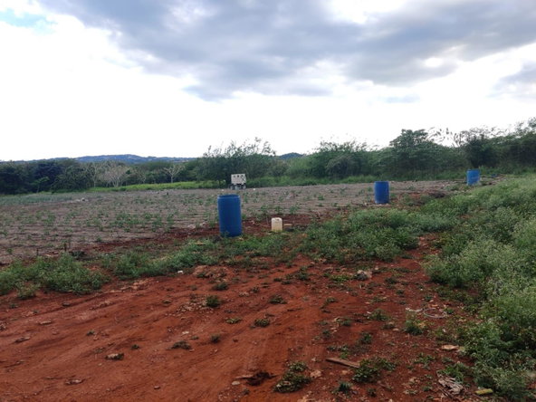 Second image of Lititz Lot Litiz, st Elizabeth in LITITZ, Manchester, Jamaica - property is For Sale