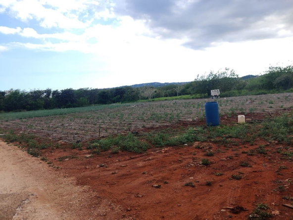 Third image of Lititz Lot Litiz, st Elizabeth in LITITZ, Manchester, Jamaica - property is For Sale