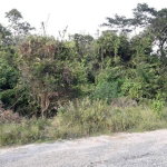 First image of Lot 48 Santa Maria dr in Discovery Bay, St. Ann, Jamaica - property is For Sale