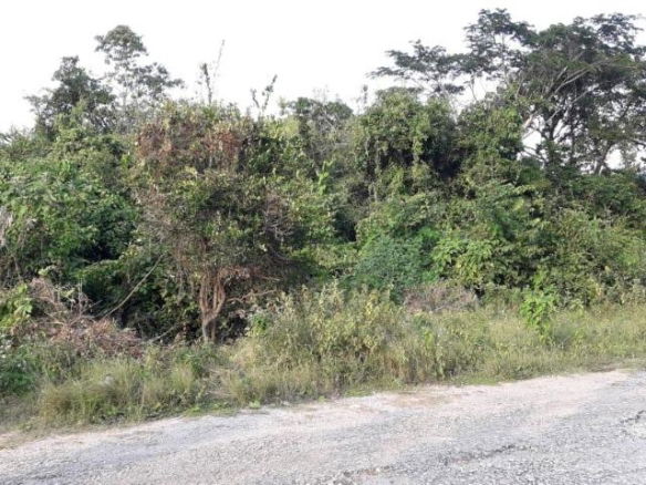 First image of Lot 48 Santa Maria dr in Discovery Bay, St. Ann, Jamaica - property is For Sale