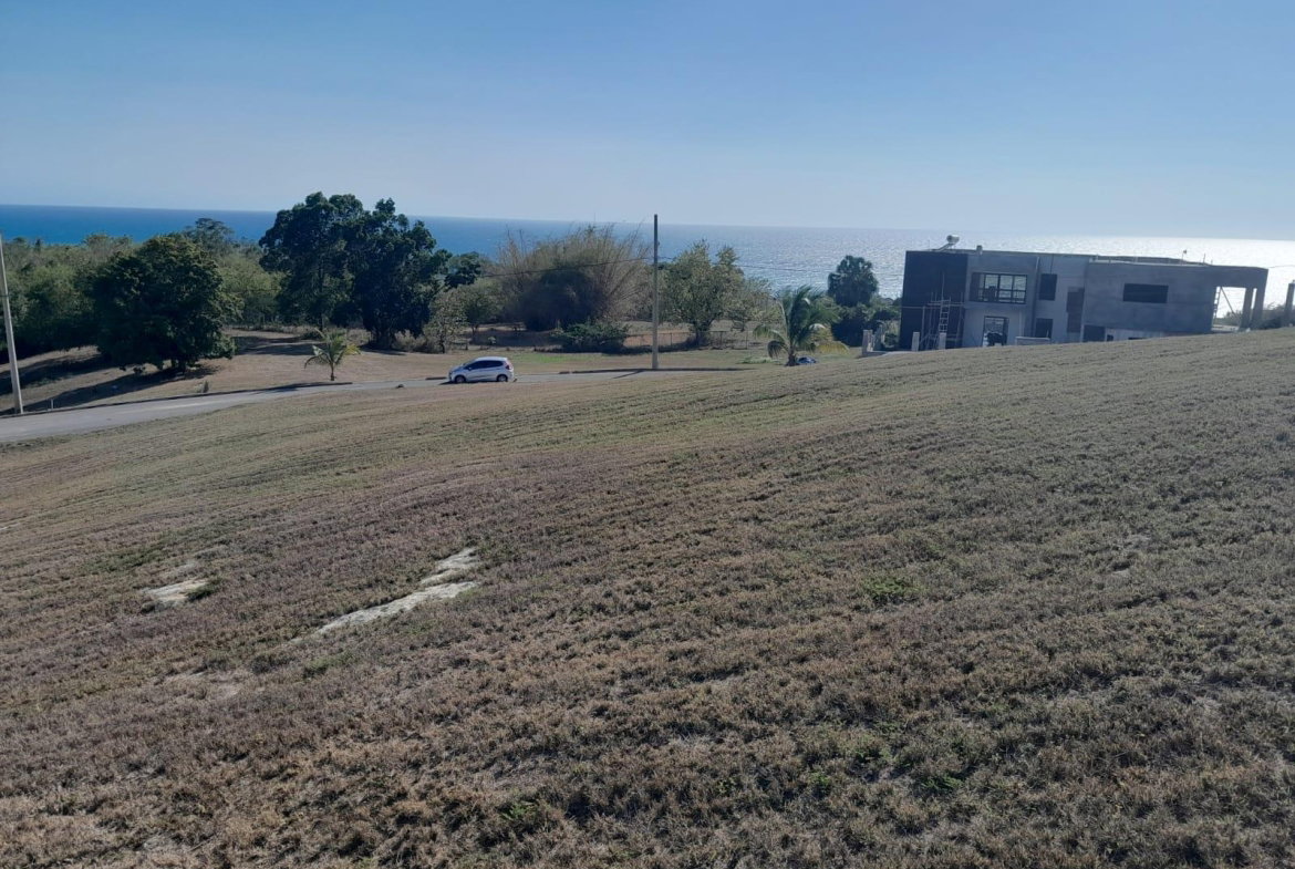 Fourth image of Lot 3 Southsea Park, Whitehouse in Bluefields, Westmoreland, Jamaica - property is For Sale