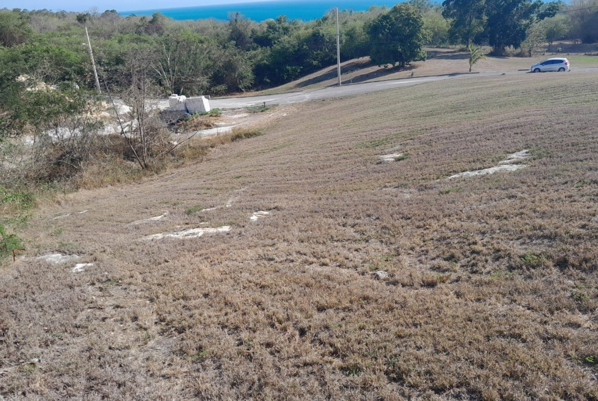 Fifth image of Lot 3 Southsea Park, Whitehouse in Bluefields, Westmoreland, Jamaica - property is For Sale