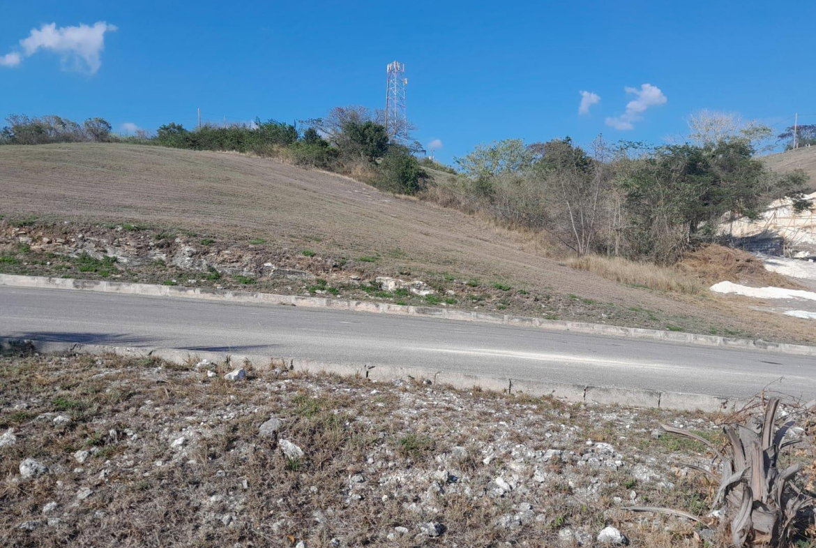 Sixth image of Lot 3 Southsea Park, Whitehouse in Bluefields, Westmoreland, Jamaica - property is For Sale