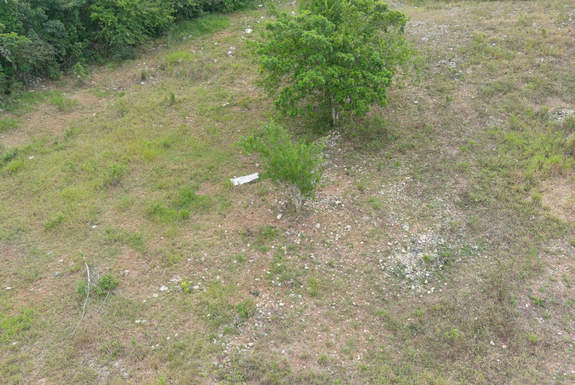 Second image of Kolanut Crescent, 4 Spur in Spur Tree, Manchester, Jamaica - property is For Sale