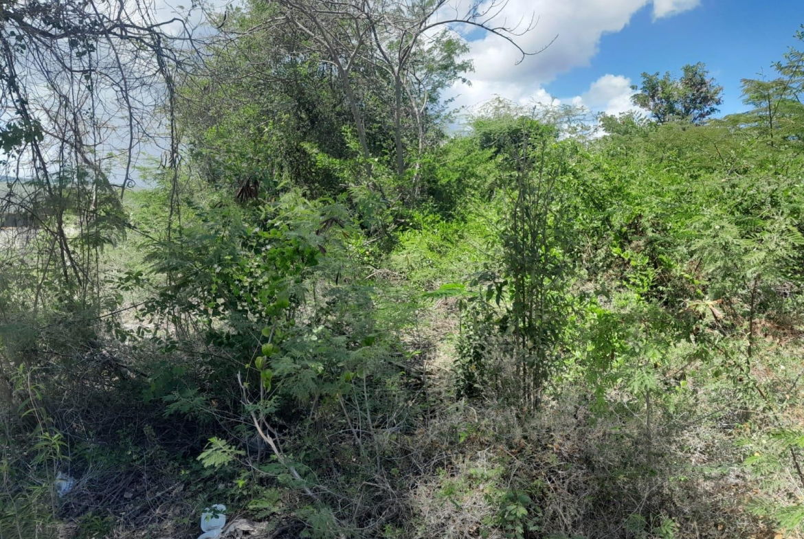 Second image of 1-36 Sea Breeze Avenue in Albion Estate, St. Thomas, Jamaica - property is For Sale