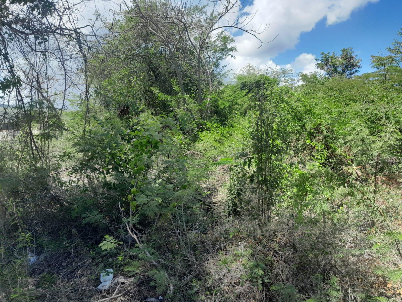 Second image of 1-36 Sea Breeze Avenue in Albion Estate, St. Thomas, Jamaica - property is For Sale