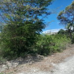 First image of 1-36 Sea Breeze Avenue in Albion Estate, St. Thomas, Jamaica - property is For Sale