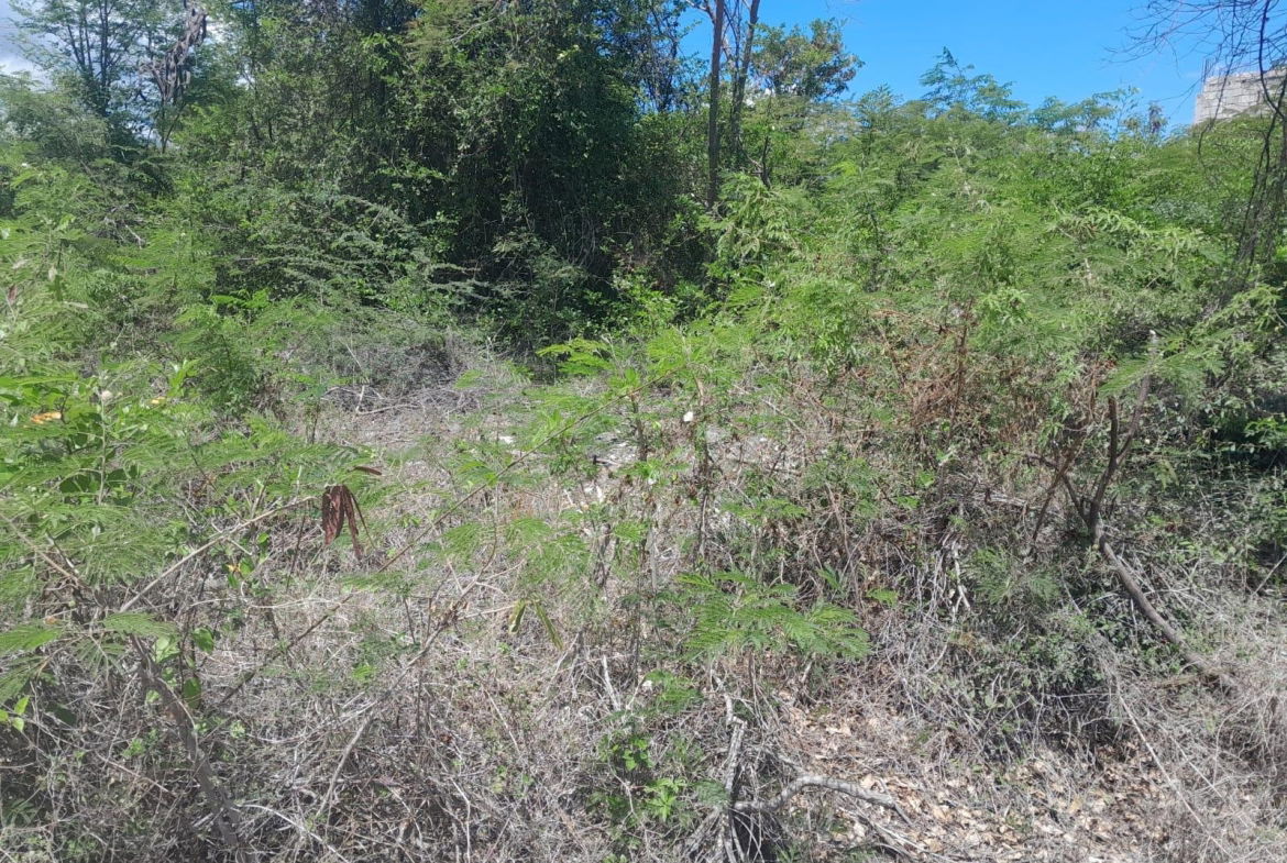 Third image of 1-36 Sea Breeze Avenue in Albion Estate, St. Thomas, Jamaica - property is For Sale