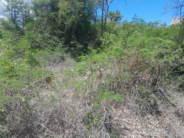 Third image of 1-36 Sea Breeze Avenue in Albion Estate, St. Thomas, Jamaica - property is For Sale