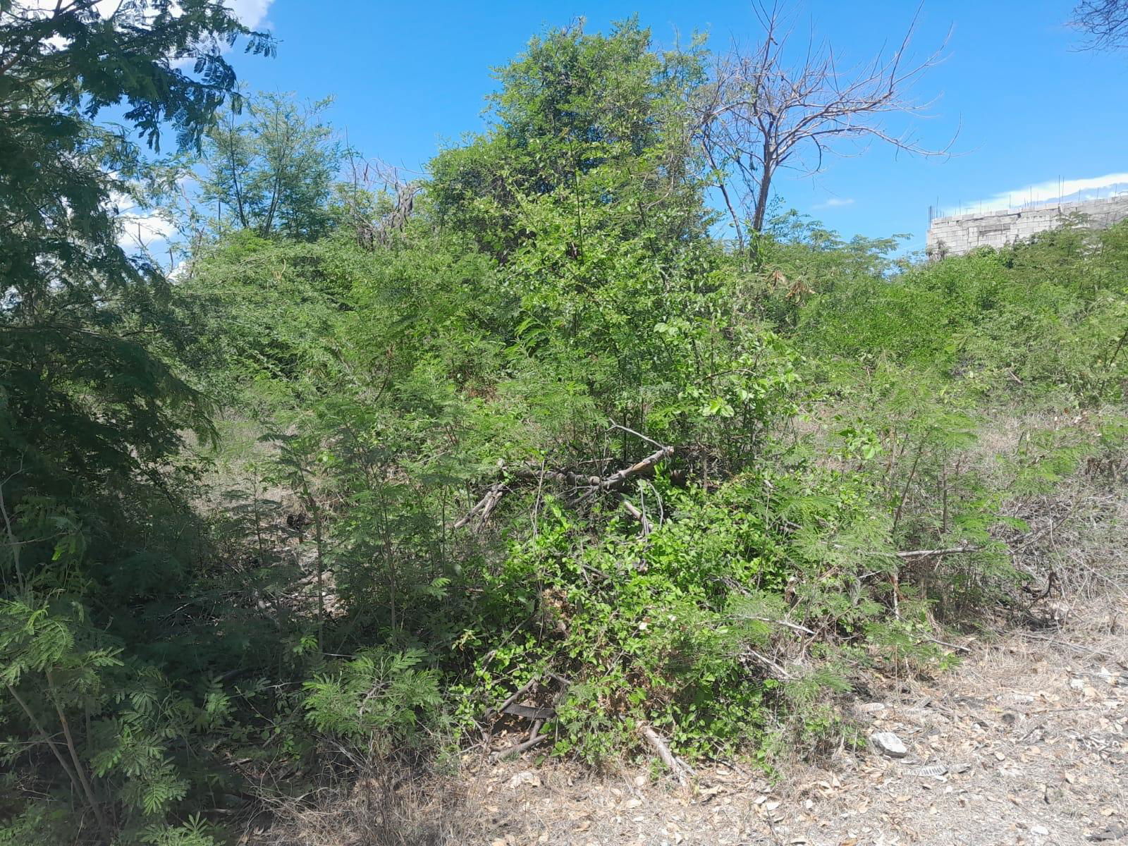 Fourth image of 1-36 Sea Breeze Avenue in Albion Estate, St. Thomas, Jamaica - property is For Sale